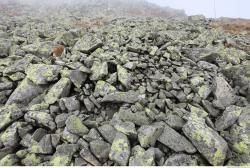 Photo Textures of Mixed Rocks